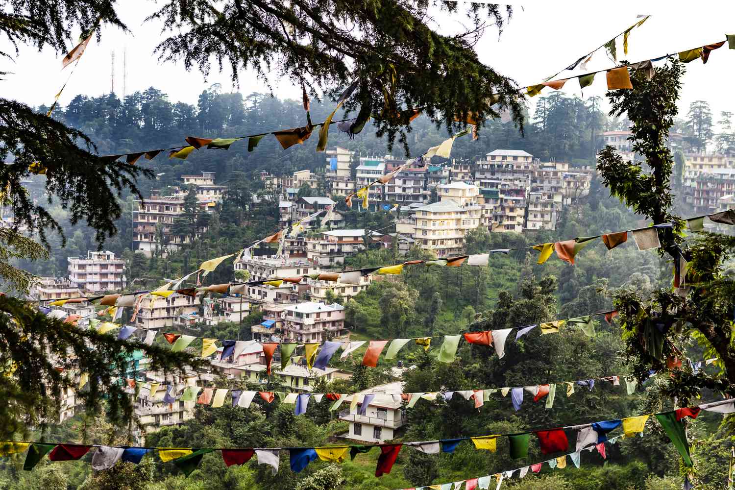Day 01: Delhi – Dharamshala
